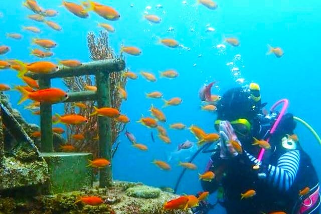 波左間２ボート