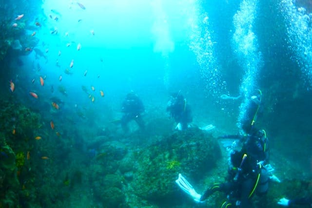 西川名２ボート