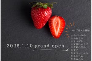 最大7品種満足40分食べ放題！令和生まれの新品種登場！【伊香保から約