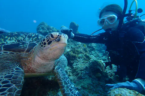 【沖縄・石垣島】【体験ダイビング】【初めてでもOK】シャワーあり！機材フルレンタル込み！カメラレンタル、写真撮影無料プレゼント！きれいな海で最高の思い出を作ろう！