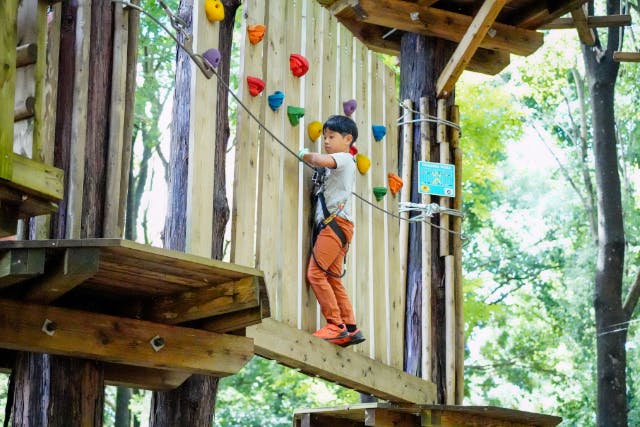 【栃木・フォレストアドベンチャー】小学1年生かつ身長110㎝以上からOK！トレックコース60分プラン