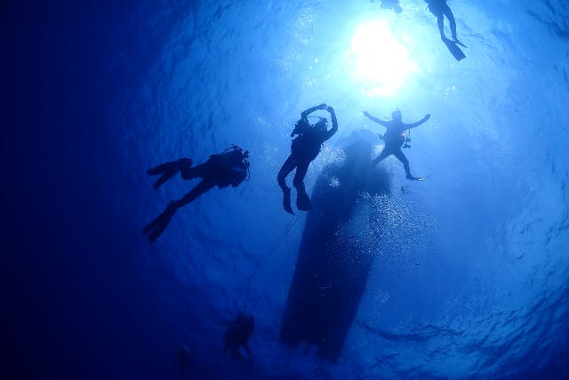 【日帰り】和歌山県白浜２ボートダイブ　初心者でもいける和歌山唯一の沈船ポイントで有名！