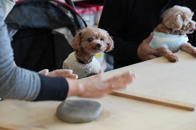 【愛知県・豊橋・手びねり】ワンちゃん、ネコちゃんの手形足形入りのオリジナルグッズをつくろう！