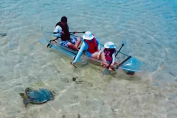 ウミガメ遭遇率99％！宮古ブルーの海の上を冒険するクリアカヤック