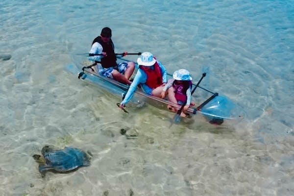 ウミガメ遭遇率99％！宮古ブルーの海の上を冒険するクリアカヤック