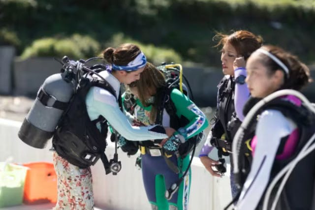 レスキューダイバーコース　自立したダイバーへの第一歩