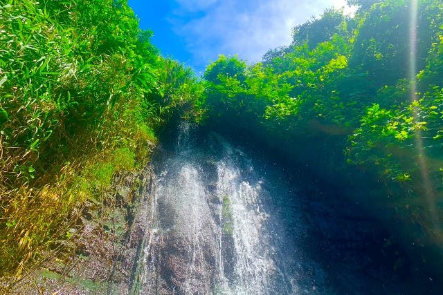 【冬割／雨・風OK】久米島“陸”満喫おまかせ1日ツアー