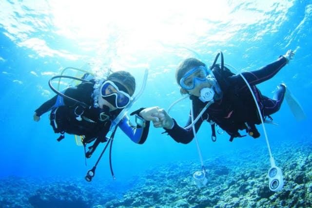 【日帰り】千葉県かっちゃま2ボートダイブ　房総半島最後の秘境！マクロ天国「かっちゃま」ツアー！