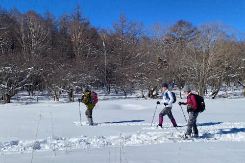 【栃木・日光/鬼怒川】日光鶏頂高原スノーハイクツアー