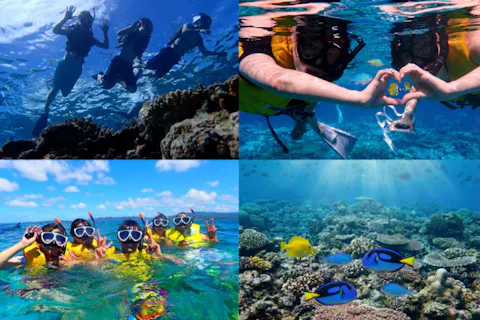 沖縄・水納島【Dプラン◆ボートシュノーケリング＆日帰り海水浴】水納島往復乗船券＆ランチ＆パラソル1本＆写真無料ダウンロード付き！！
