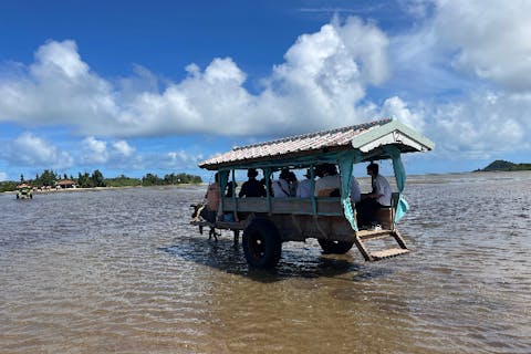 【西表島・カヌー・由布島水牛車コース】沖縄最人気の滝ピナイサーラにカヌー＆トレッキングで、午後は由布島水牛車でスローな沖縄タイムを体験