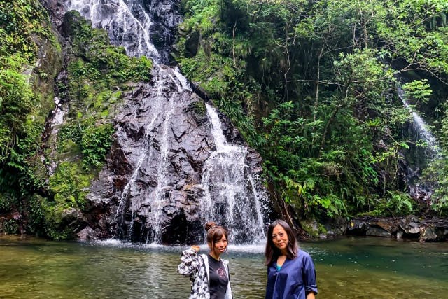 【奄美大島】お一人様でのお申し込み「知られざる秘境　奄美の神秘　ジャングル探検と命の水・パワースポット」