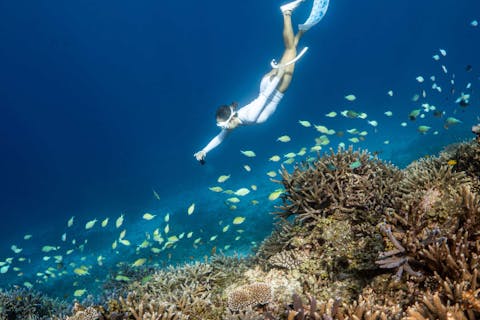 【沖縄・宮古島】八重干瀬スキンダイビングツアー・少人数制・無料動画撮影！一眼レフ撮影＆編集オプション