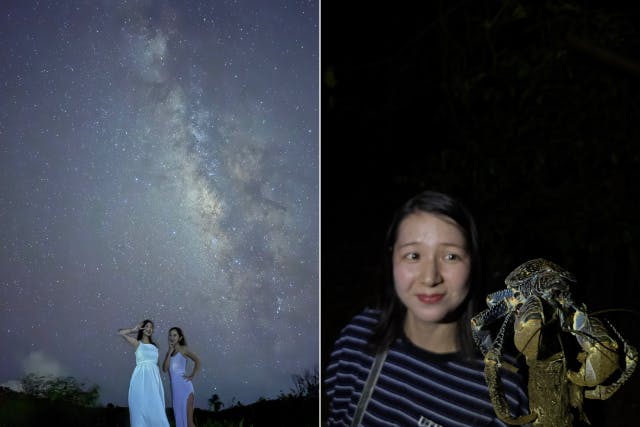 【宮古島・21時】当日予約OK！大人気！星空×夜の生き物探検ツアー！《写真は無料プレゼント》