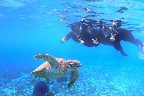 ☆春休み企画！学生グループ割セール☆【☆送迎無料やバスタオル貸出あり☆】透明度抜群！感動のシュノーケリングツアー〜美しい珊瑚礁やウミガメなど様々な生き物を堪能！〜●カップルにオススメ●【沖縄・宮古島】