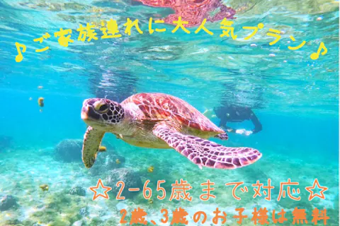 【2～3歳まで無料★那覇近郊★ウミガメ高確率♪】☆ウミガメ＆南国フィッシュトロピカルツアー☆那覇から３０分！写真＆餌付け無料☆