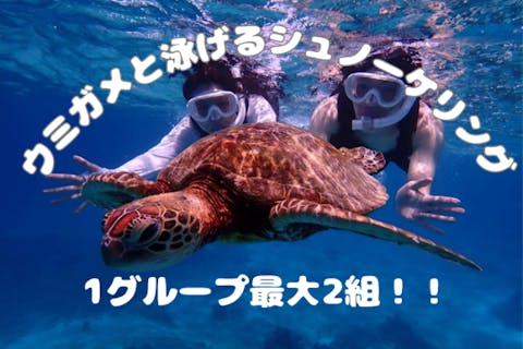 【宮古島/少人数】ウェットスーツ込み/ウミガメと泳げるシュノーケリングツアー！遭遇率100%継続中！最大2組でのご案内♪