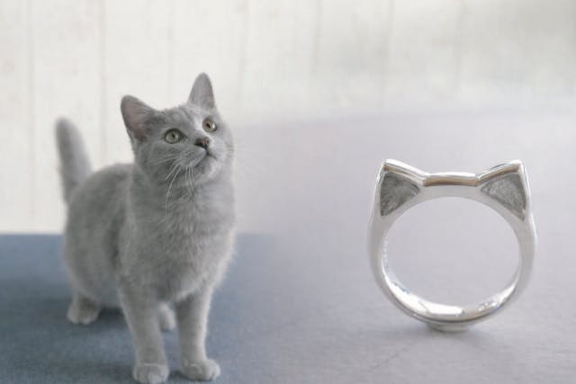 大好きな【うちの子】を、ずっとそばに。猫リング制作体験 ｜ 当日お持ち帰りOK