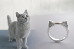 大好きな【うちの子】を、ずっとそばに。猫リング制作体験 ｜ 当日お