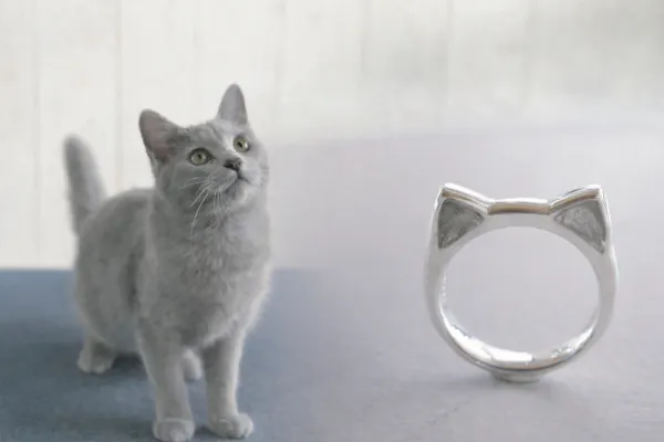 大好きな【うちの子】を、ずっとそばに。猫リング制作体験 ｜ 当日お