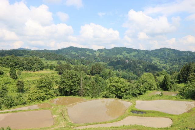 十日町里山ウォーキング　儀明・蒲生の棚田コース