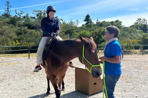 【宮城・奥松島】ビジター乗馬レッスン　馬の背に揺られる非日常体験