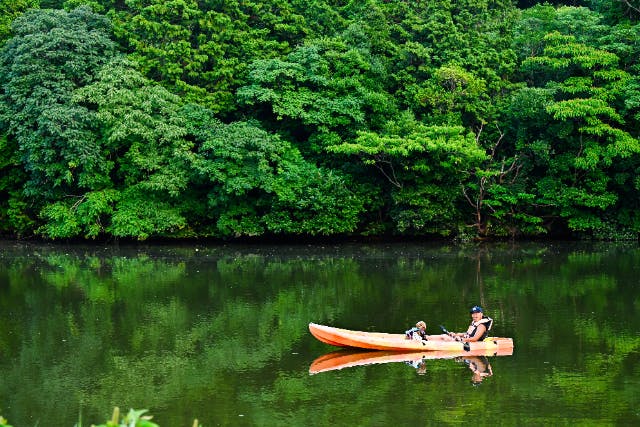 【和歌山】大自然を満喫！カヌー体験