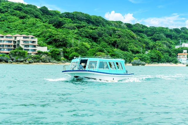 年齢制限なし☆南城市☆グラスボートで海中散策＆【食堂かりか】キーマカレー☆ウミガメ遭遇率驚異の60％！新原ビーチ沖の手つかずの自然を満喫！