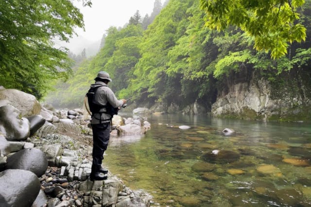 渓流釣りガイド(1日貸切りプラン）