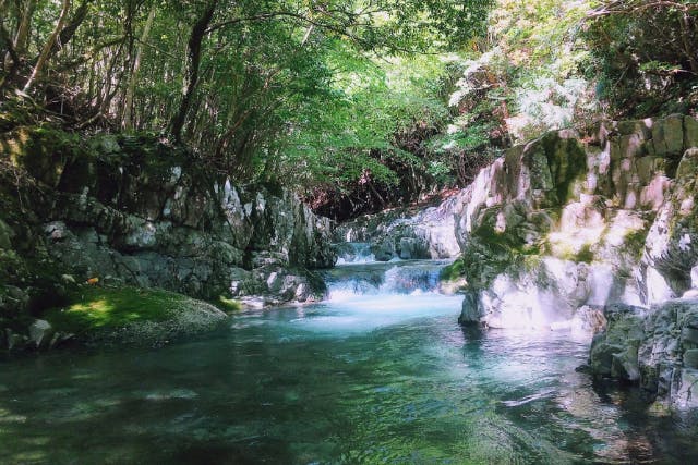 渓流釣りガイド(半日貸切りプラン）
