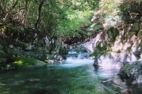 渓流釣りガイド(半日貸切りプラン）