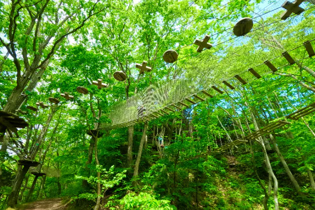 北海道・恵庭・フォレストアドベンチャー・トレックコース60分