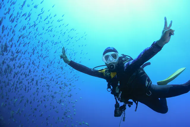 【駅までの送迎付き　静岡県・西伊豆　体験ダイビング1本】車が無くても！