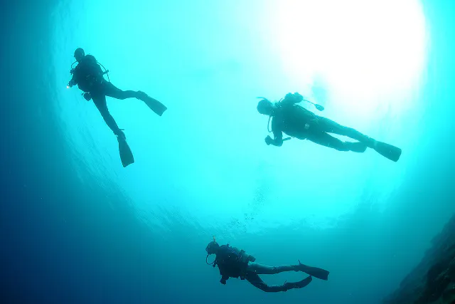 【グループ割　静岡県・西伊豆　体験ダイビング1本】みんなでダイビングデビュー！