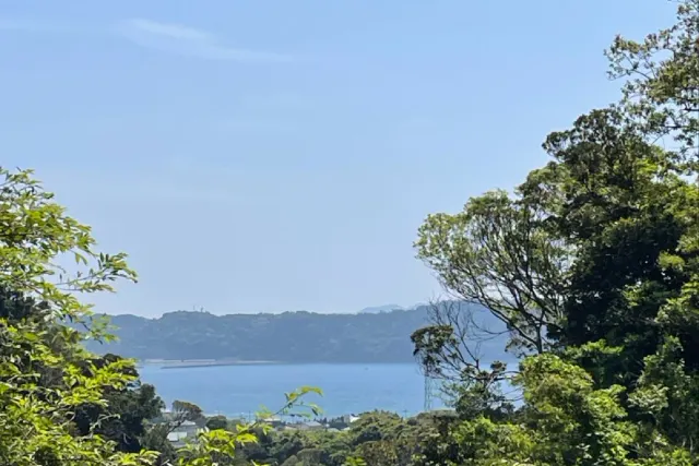 里山ウォーキングと房州枇杷のビワ狩り体験