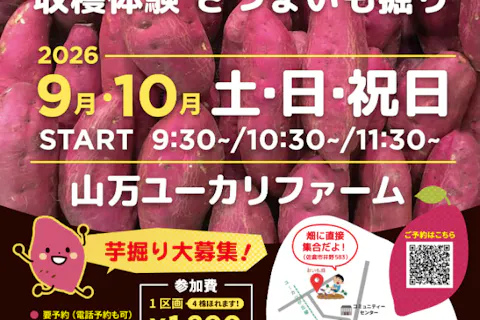 【収穫体験】さつまいも掘り