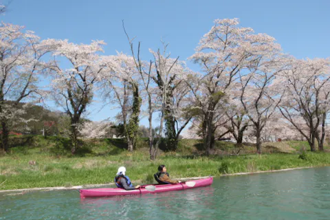 秩父長瀞近くで、春はお花見・新緑＊秋は紅葉『季節のカヌーカヤック体験』4才～初めてOK！こども、ファミリー、カップルさんに　◎埼玉 群馬 県境、東京都心から日帰りも【長瀞 藤岡／関東】