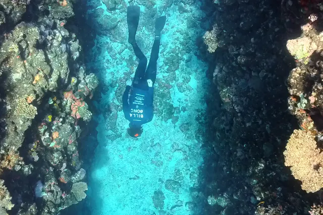多良間島ツアー （ボートエントリー）