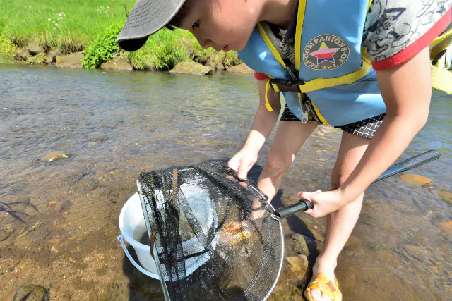 【北広島市・自然体験】ファミリーにおすすめ・Fビレッジ付近を流れる輪厚川でガサガサ体験