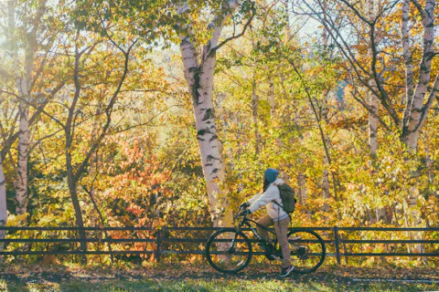 松本・乗鞍高原レンタルサイクル クロスバイク １日利用