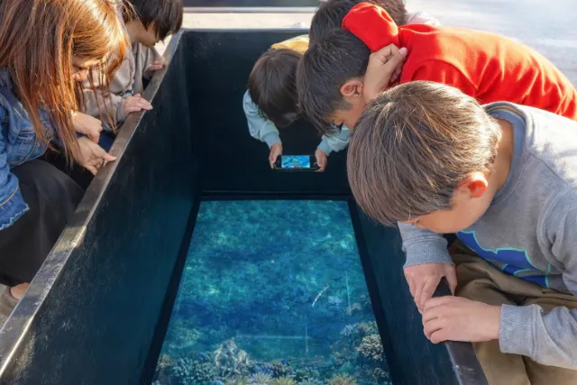 【伊勢志摩】気分はまるで海中散歩！グラスボートでサンゴや魚たちに会いに行こう