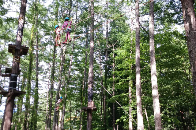白馬村の大自然の中で大人も子供も楽しめる、地上8Ｍの空中大冒険を体験してみませんか？【基本コース：ファミリーパック券】