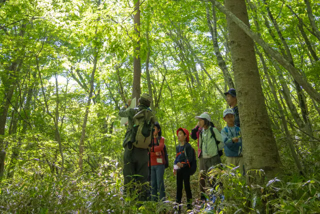 ちょこっと森ガイド（1時間）
