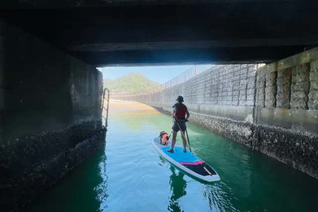 【静岡・熱海・SUP】他のわんちゃんへの気遣いゼロ！1組専属ガイドで愛犬と絶景DOG SUP60分ドッグサップ（写真データ無料）