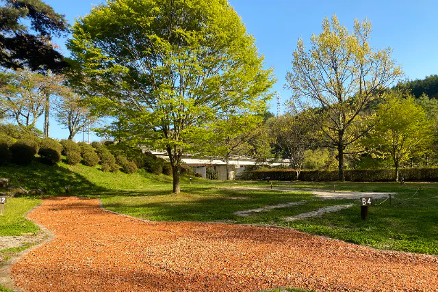 【ペットOKオートサイトB　キャンプ×ピザ作り体験】キャンプとピザ作り体験がセットになったプラン！