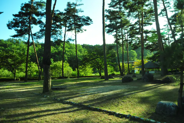 【ペットOKオートサイトF　キャンプ×ピザ作り体験】キャンプとピザ作り体験がセットになったプラン！