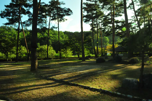 【ペットOKオートサイトF　キャンプ×テントサウナ】キャンプとプライベートテントサウナがセットになったプラン！