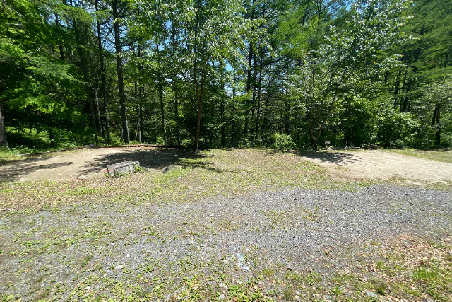 オートサイトB－森－