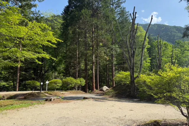 オートサイトA　ーAC電源付サイトー