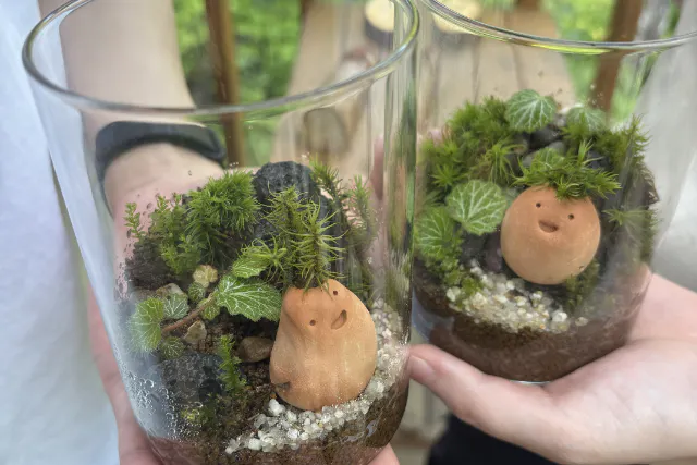 森の中で作る！苔テラリウム体験